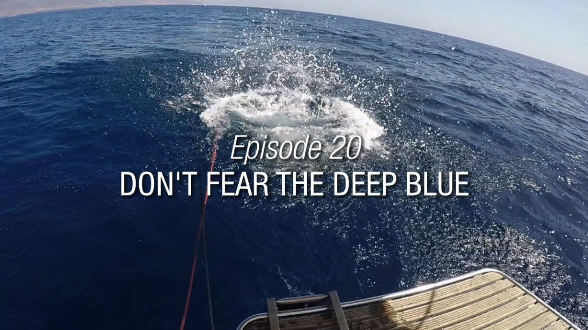 dont fear the deep blue