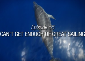 Can't get enough of great sailing