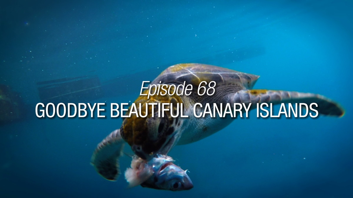 Goodbye Beautiful Canary Islands Season Finale