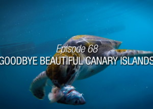 Goodbye Beautiful Canary Islands Season Finale